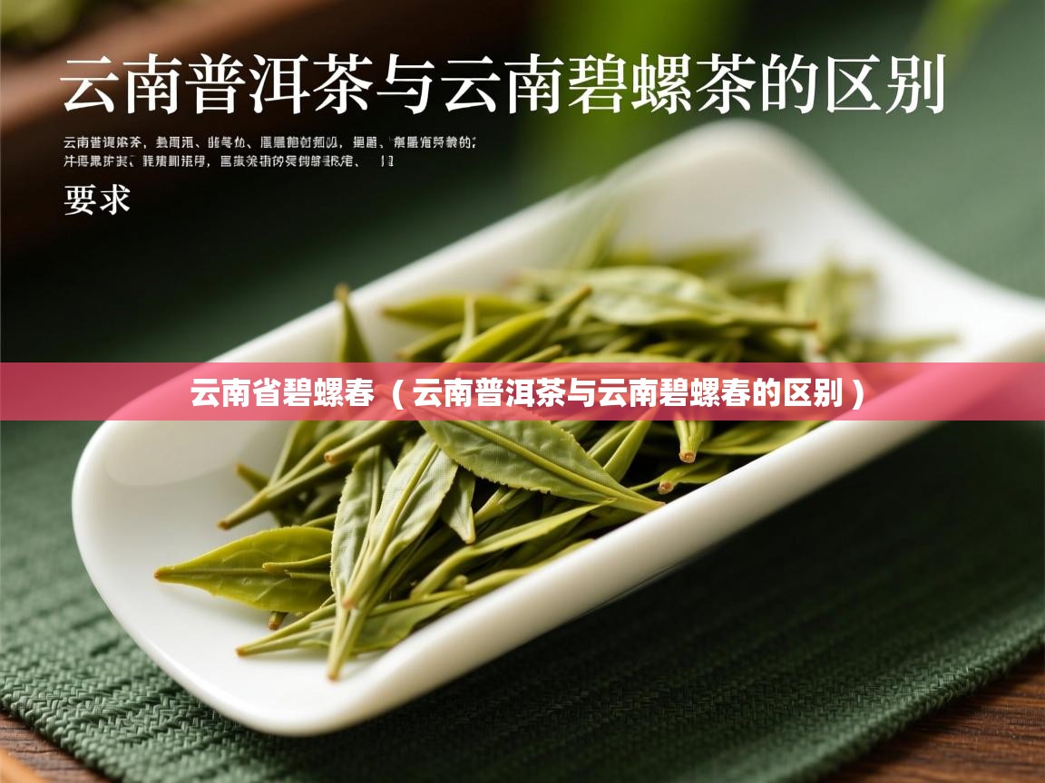  云南省碧螺春  ( 云南普洱茶与云南碧螺春的区别 )