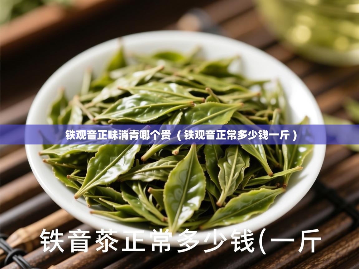  铁观音正味消青哪个贵  ( 铁观音正常多少钱一斤 )