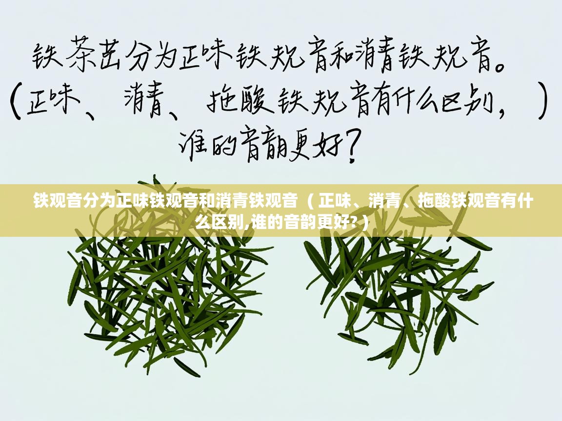  铁观音分为正味铁观音和消青铁观音  ( 正味、消青、拖酸铁观音有什么区别,谁的音韵更好? )