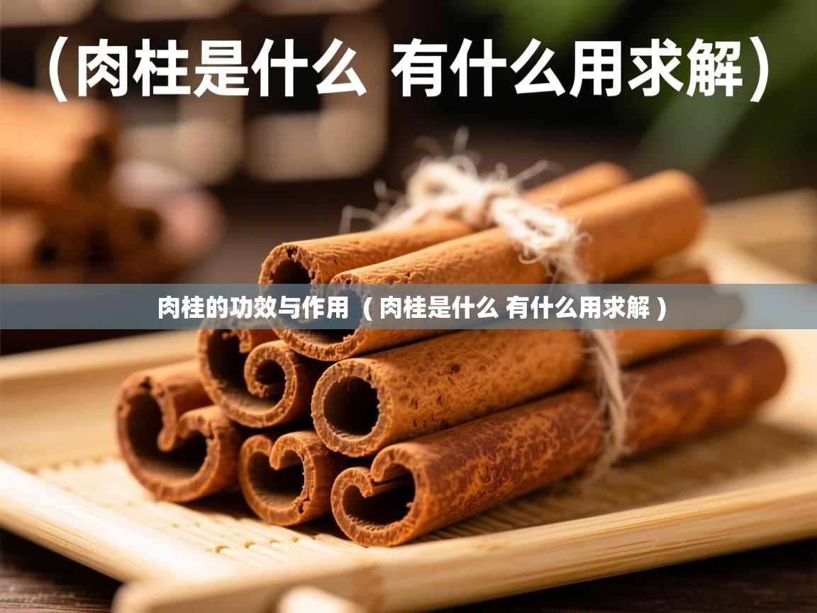  肉桂的功效与作用  ( 肉桂是什么 有什么用求解 )
