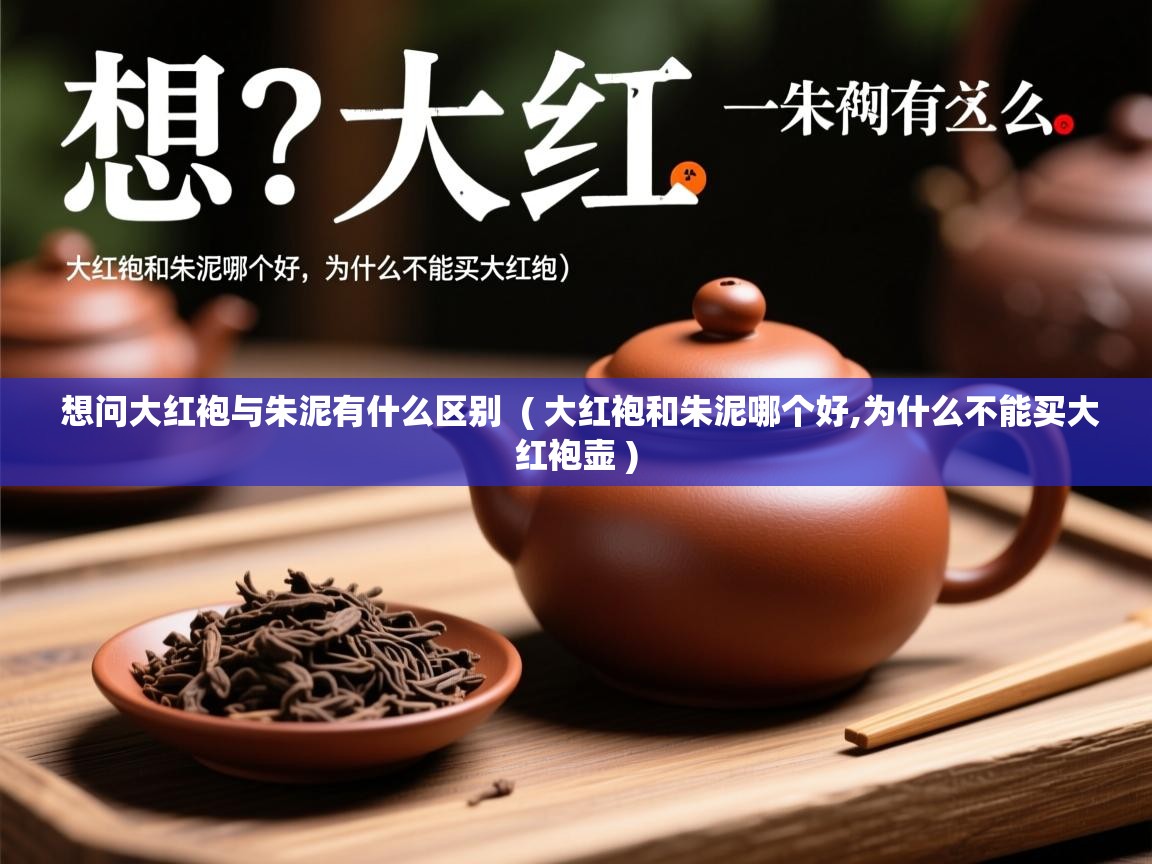  想问大红袍与朱泥有什么区别  ( 大红袍和朱泥哪个好,为什么不能买大红袍壶 )