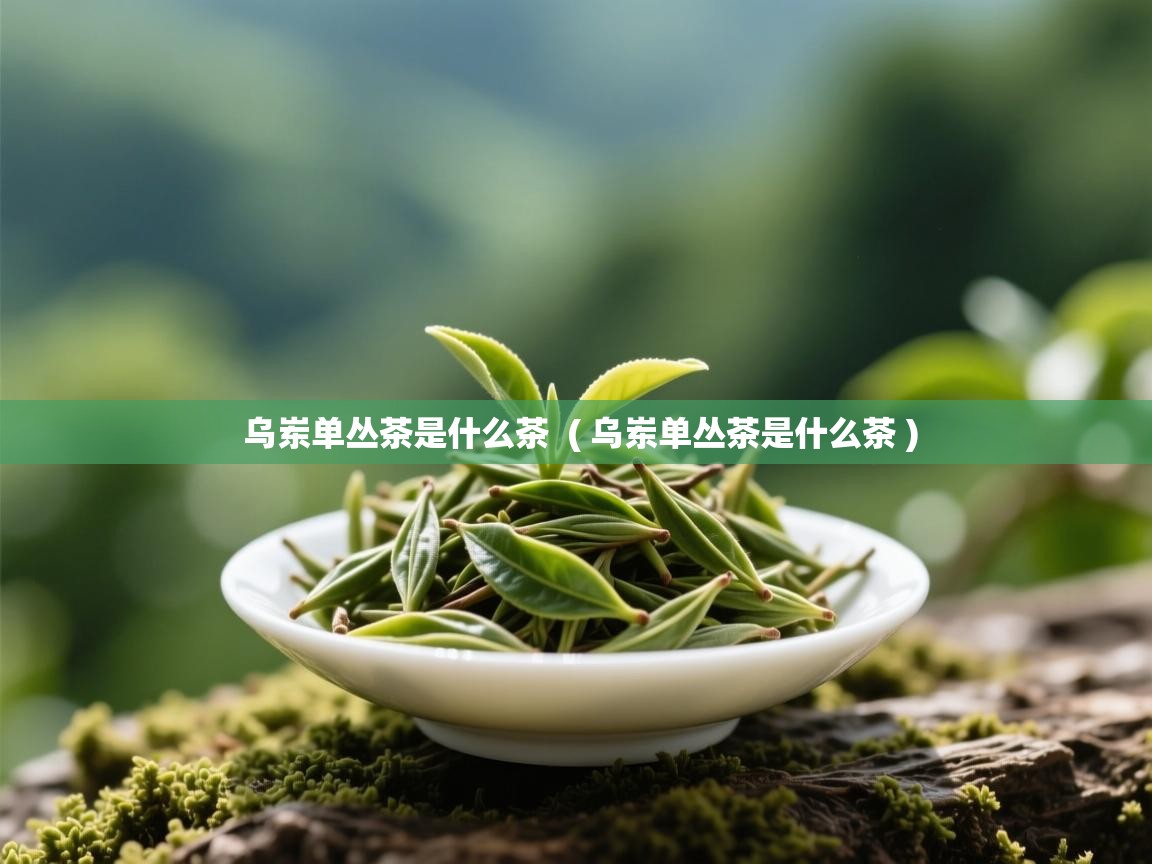  乌岽单丛茶是什么茶  ( 乌岽单丛茶是什么茶 )