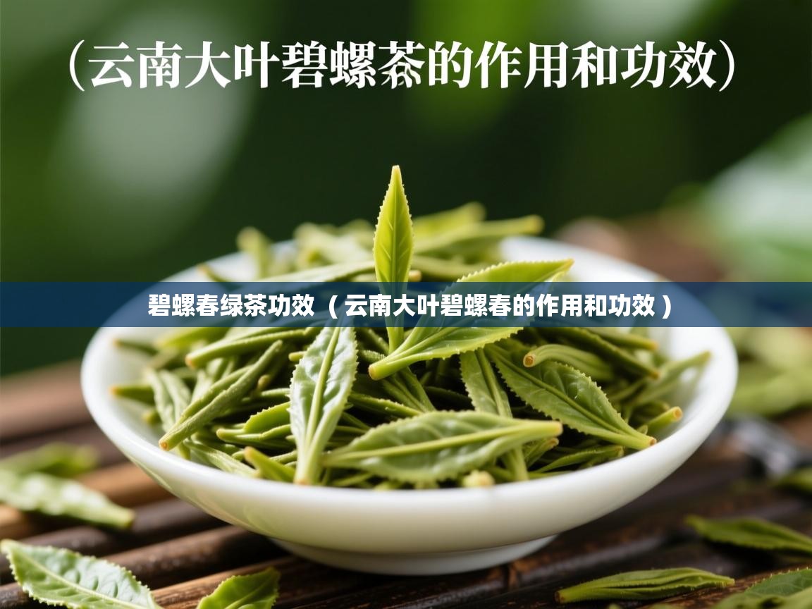  碧螺春绿茶功效  ( 云南大叶碧螺春的作用和功效 )