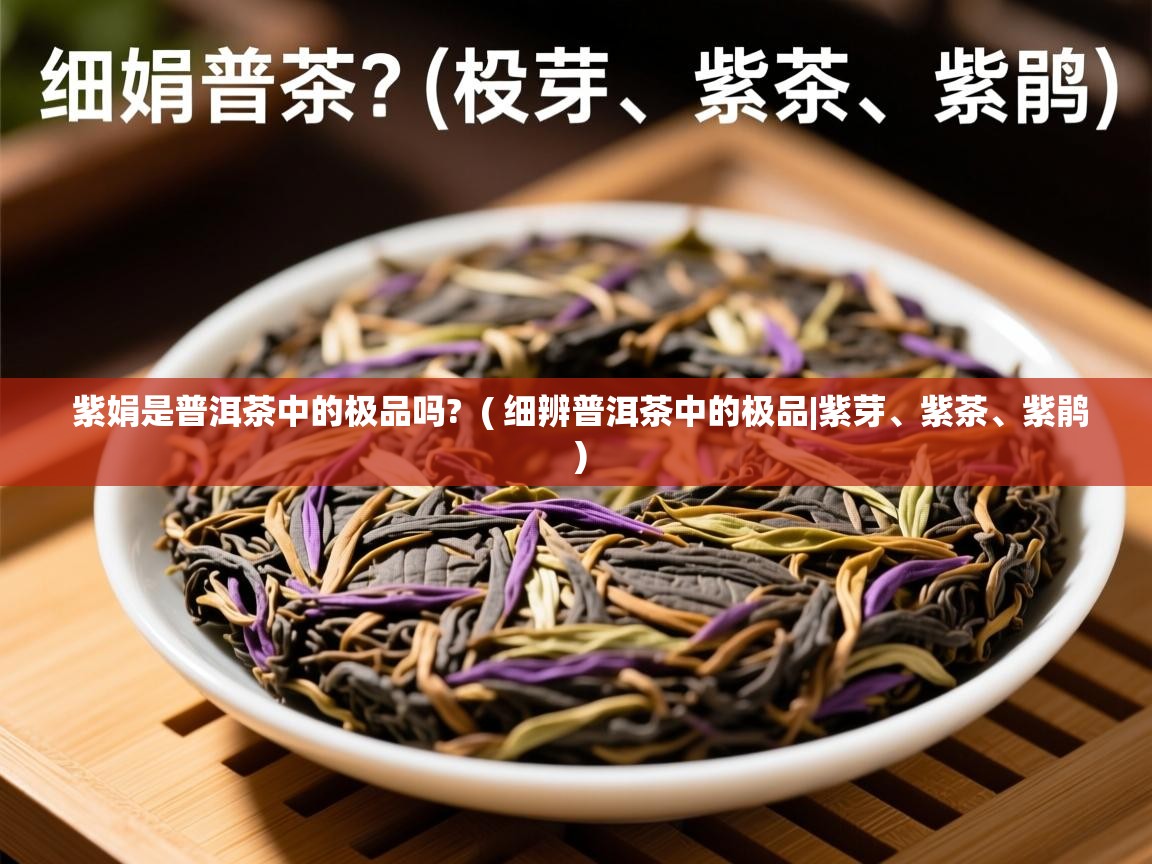  紫娟是普洱茶中的极品吗?  ( 细辨普洱茶中的极品|紫芽、紫茶、紫鹃 )