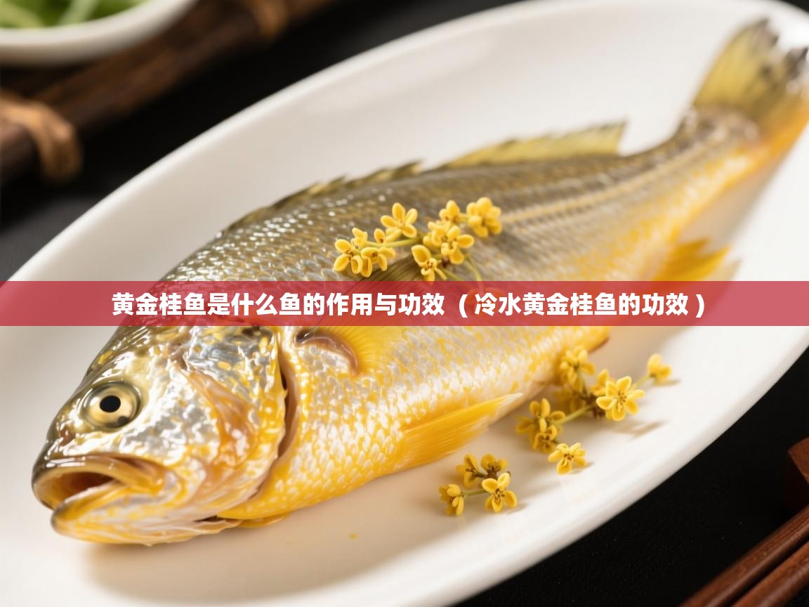  黄金桂鱼是什么鱼的作用与功效  ( 冷水黄金桂鱼的功效 )