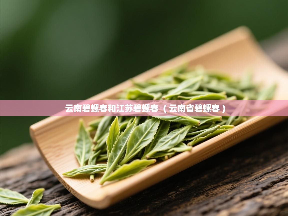 详细阅读: 云南碧螺春和江苏碧螺春  ( 云南省碧螺春 )  云南碧螺春和江苏碧螺春  ( 云南省碧螺春 )