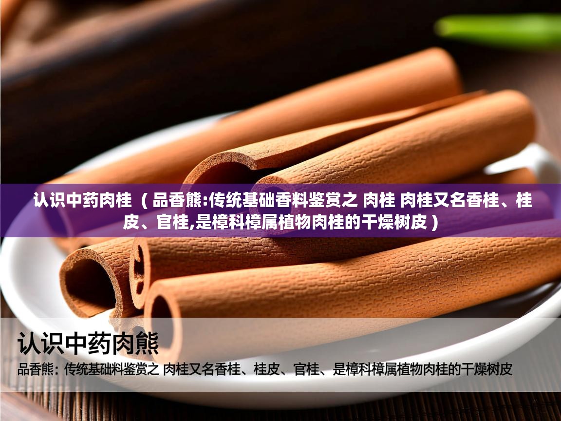  认识中药肉桂  ( 品香熊:传统基础香料鉴赏之 肉桂 肉桂又名香桂、桂皮、官桂,是樟科樟属植物肉桂的干燥树皮 )