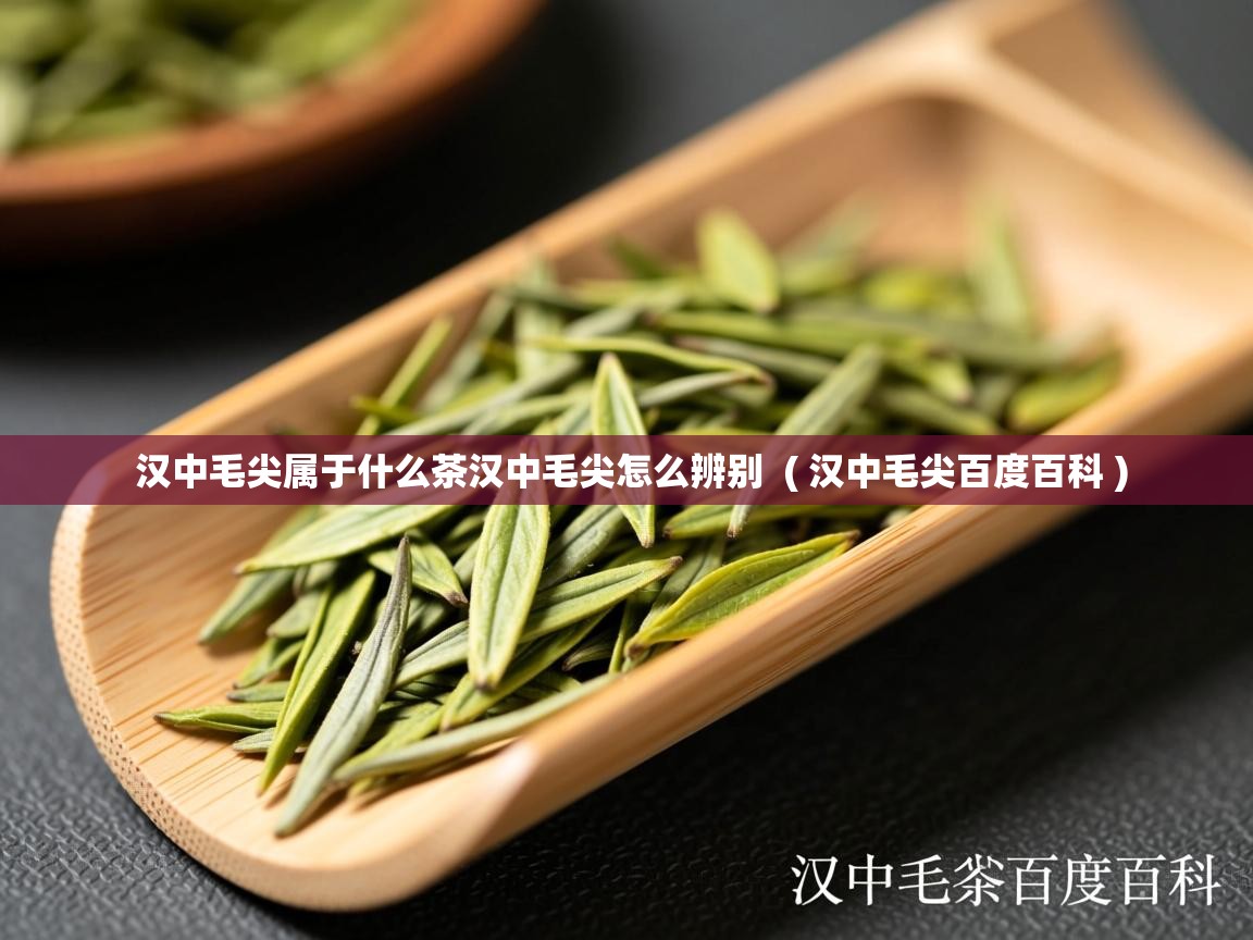  汉中毛尖属于什么茶汉中毛尖怎么辨别  ( 汉中毛尖百度百科 )