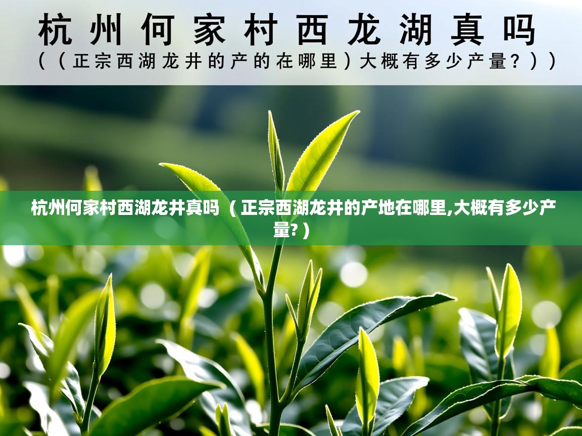  杭州何家村西湖龙井真吗  ( 正宗西湖龙井的产地在哪里,大概有多少产量? )