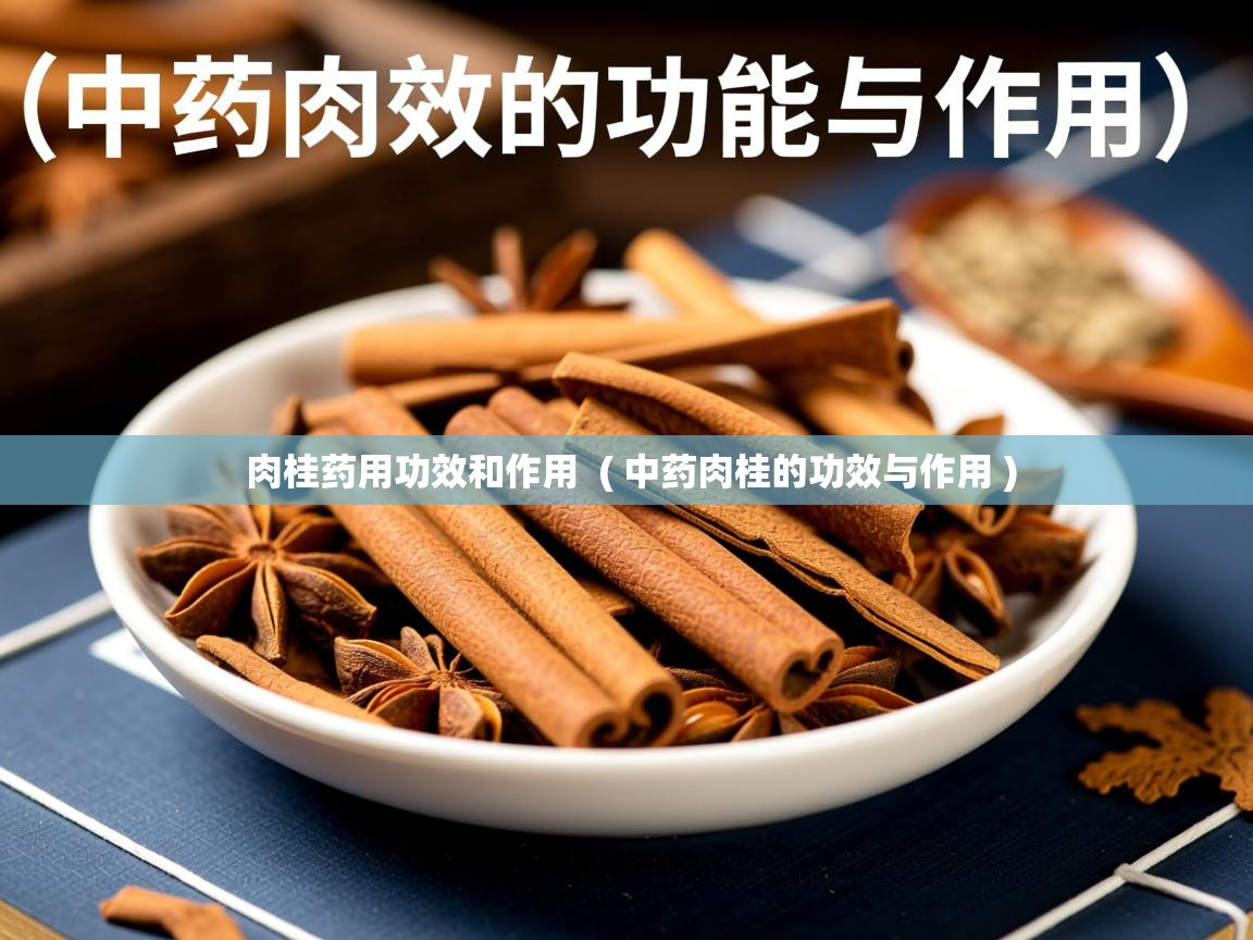  肉桂药用功效和作用  ( 中药肉桂的功效与作用 )