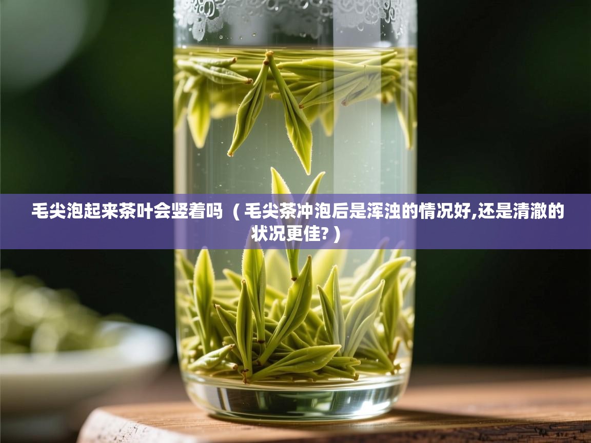  毛尖泡起来茶叶会竖着吗  ( 毛尖茶冲泡后是浑浊的情况好,还是清澈的状况更佳? )