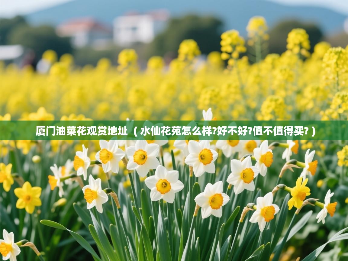  厦门油菜花观赏地址  ( 水仙花苑怎么样?好不好?值不值得买? )