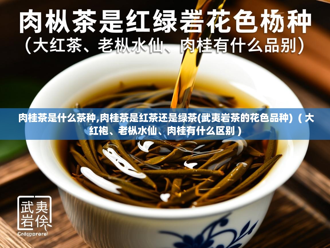 详细阅读: 肉桂茶是什么茶种,肉桂茶是红茶还是绿茶(武夷岩茶的花色品种)  ( 大红袍、老枞水仙、肉桂有什么区别 )  肉桂茶是什么茶种,肉桂茶是红茶还是绿茶(武夷岩茶的花色品种)  ( 大红袍、老枞水仙、肉桂有什么区别 )