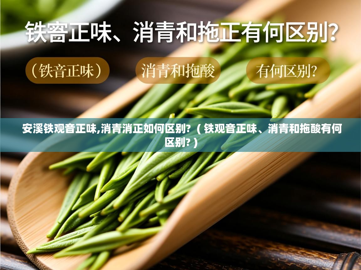  安溪铁观音正味,消青消正如何区别?  ( 铁观音正味、消青和拖酸有何区别? )