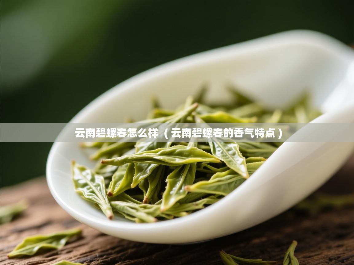  云南碧螺春怎么样  ( 云南碧螺春的香气特点 )