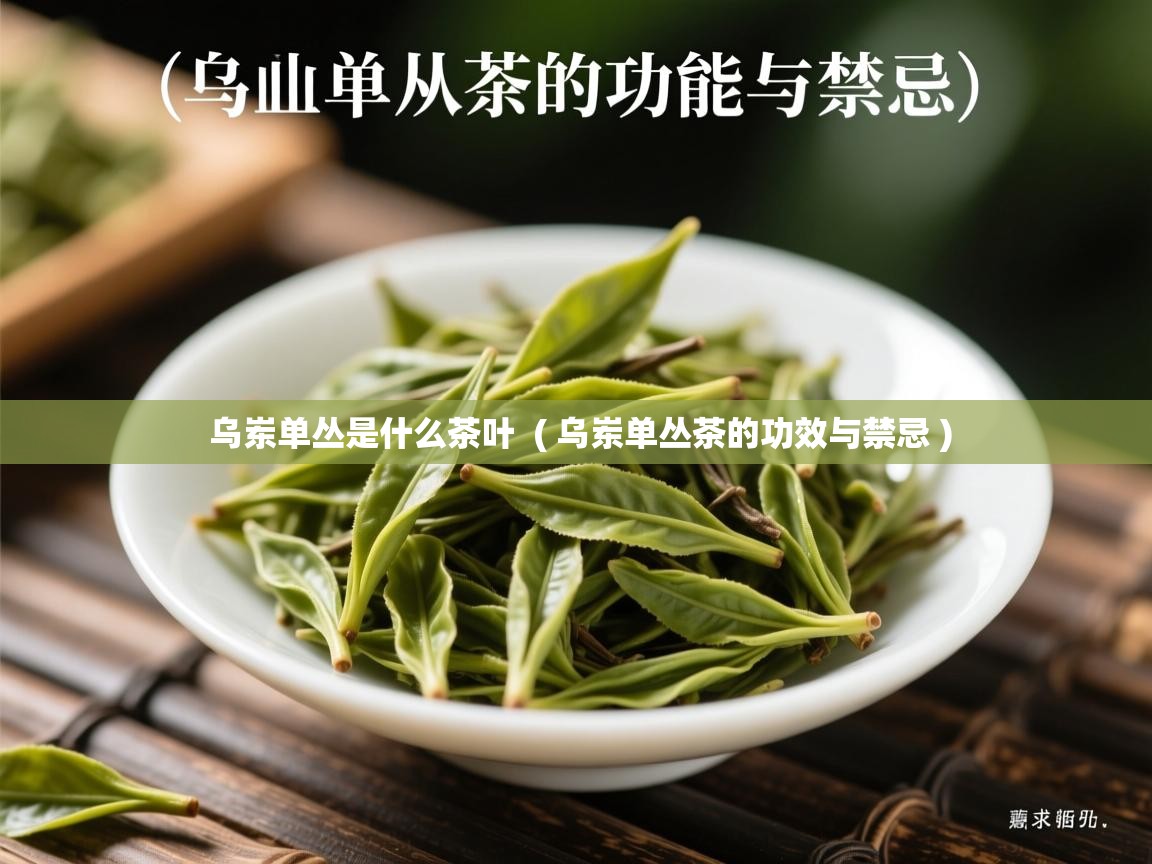  乌岽单丛是什么茶叶  ( 乌岽单丛茶的功效与禁忌 )
