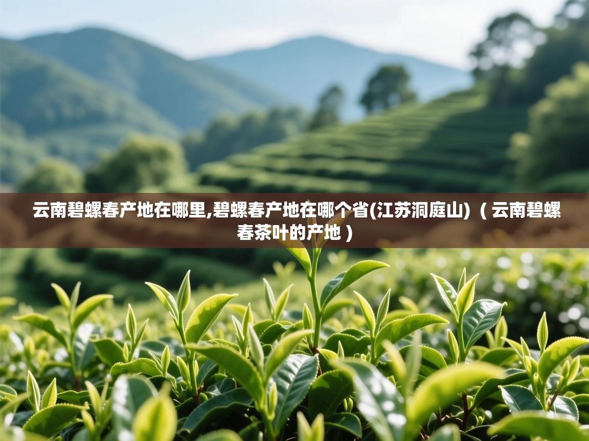  云南碧螺春产地在哪里,碧螺春产地在哪个省(江苏洞庭山)  ( 云南碧螺春茶叶的产地 )