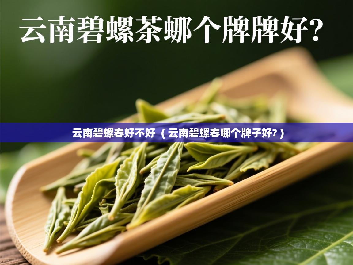  云南碧螺春好不好  ( 云南碧螺春哪个牌子好? )