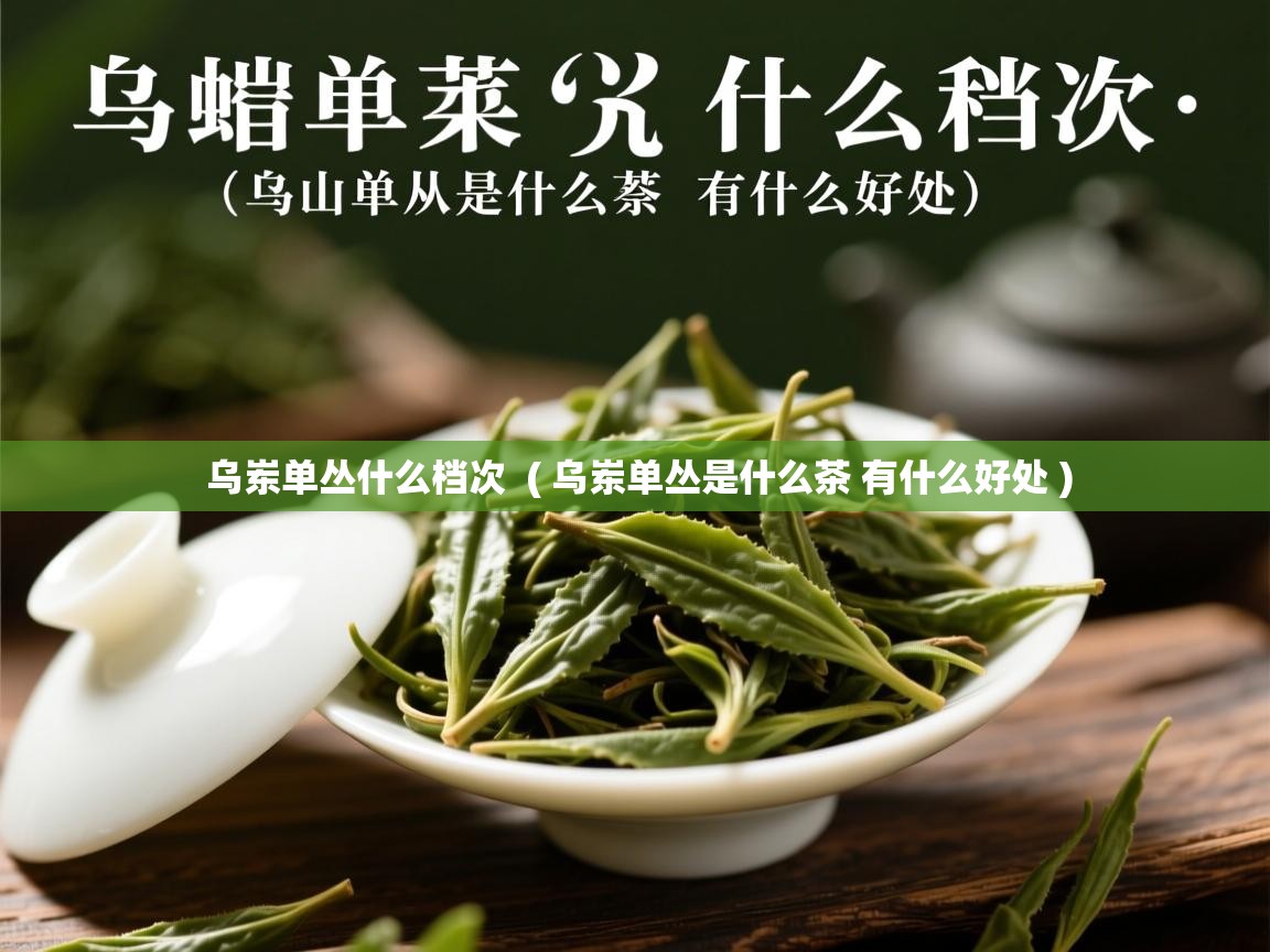  乌岽单丛什么档次  ( 乌岽单丛是什么茶 有什么好处 )