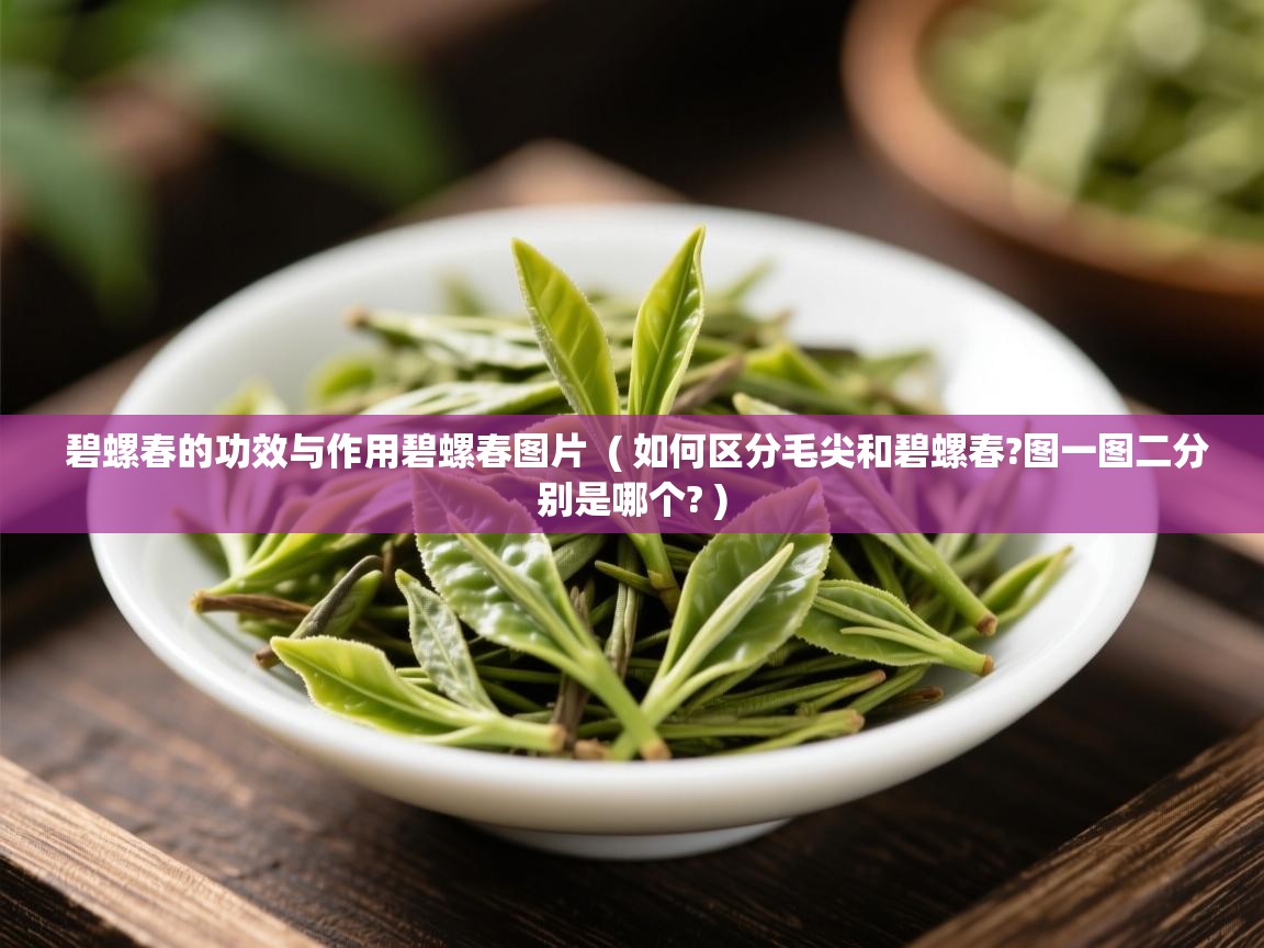  碧螺春的功效与作用碧螺春图片  ( 如何区分毛尖和碧螺春?图一图二分别是哪个? )