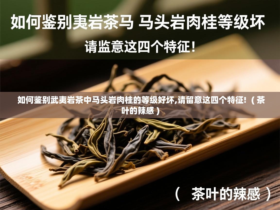  如何鉴别武夷岩茶中马头岩肉桂的等级好坏,请留意这四个特征!  ( 茶叶的辣感 )