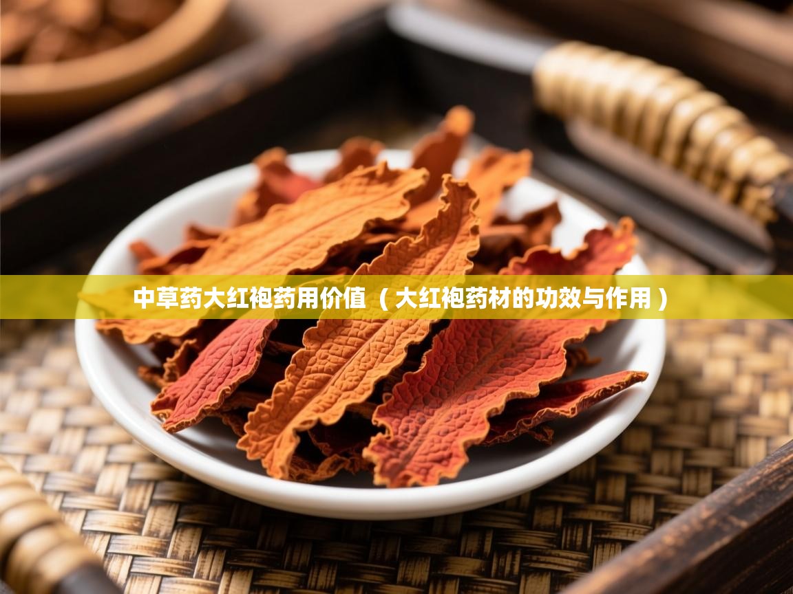  中草药大红袍药用价值  ( 大红袍药材的功效与作用 )