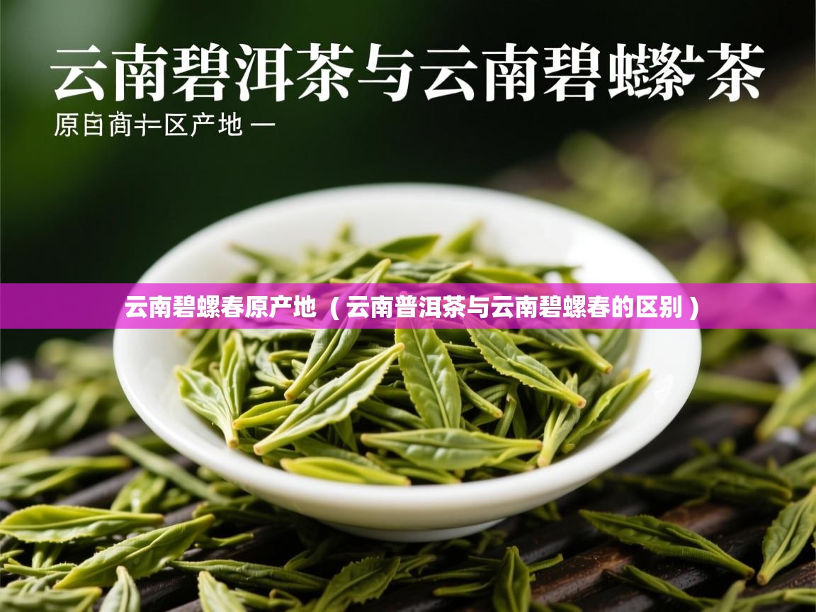  云南碧螺春原产地  ( 云南普洱茶与云南碧螺春的区别 )