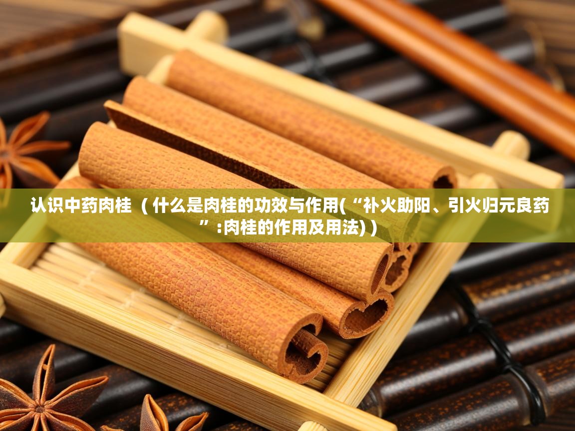  认识中药肉桂  ( 什么是肉桂的功效与作用(“补火助阳、引火归元良药”:肉桂的作用及用法) )