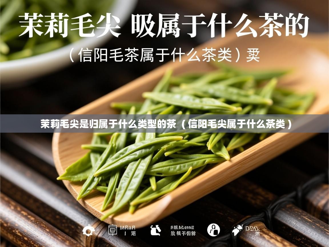  茉莉毛尖是归属于什么类型的茶  ( 信阳毛尖属于什么茶类 )