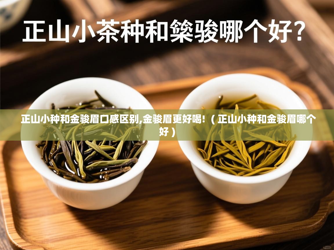  正山小种和金骏眉口感区别,金骏眉更好喝!  ( 正山小种和金骏眉哪个好 )