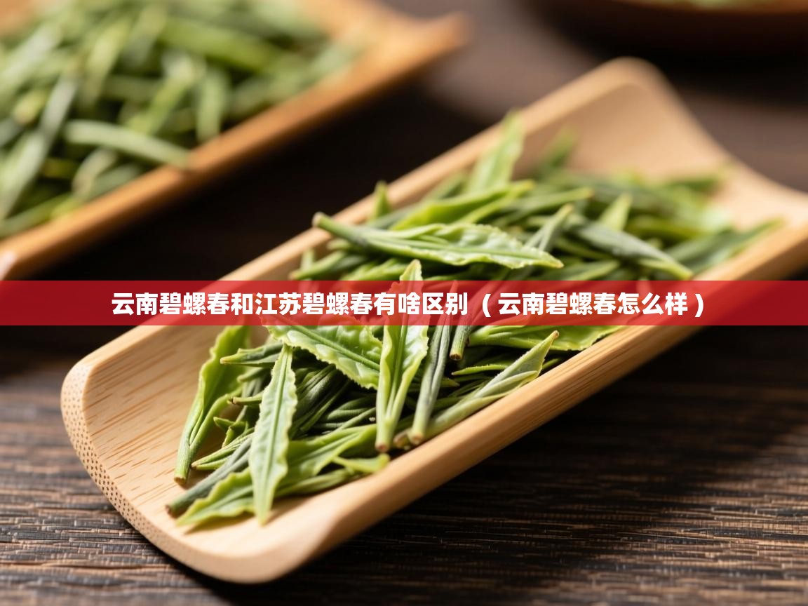  云南碧螺春和江苏碧螺春有啥区别  ( 云南碧螺春怎么样 )