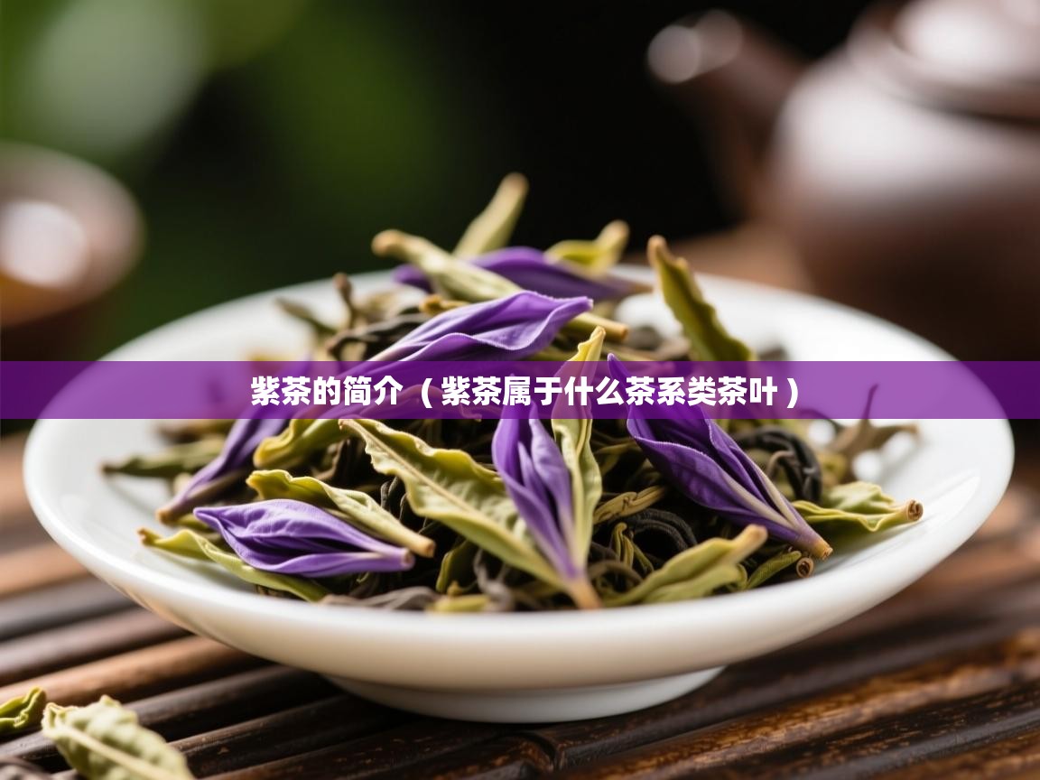  紫茶的简介  ( 紫茶属于什么茶系类茶叶 )