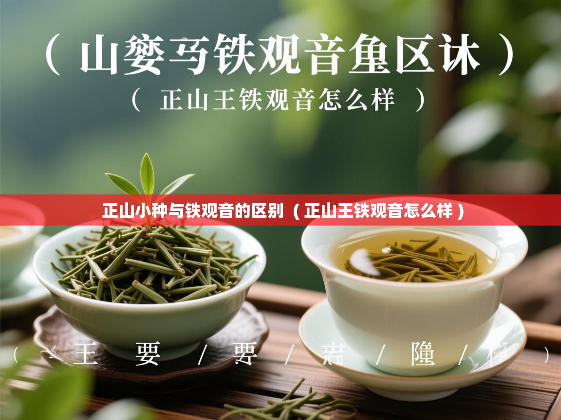  正山小种与铁观音的区别  ( 正山王铁观音怎么样 )