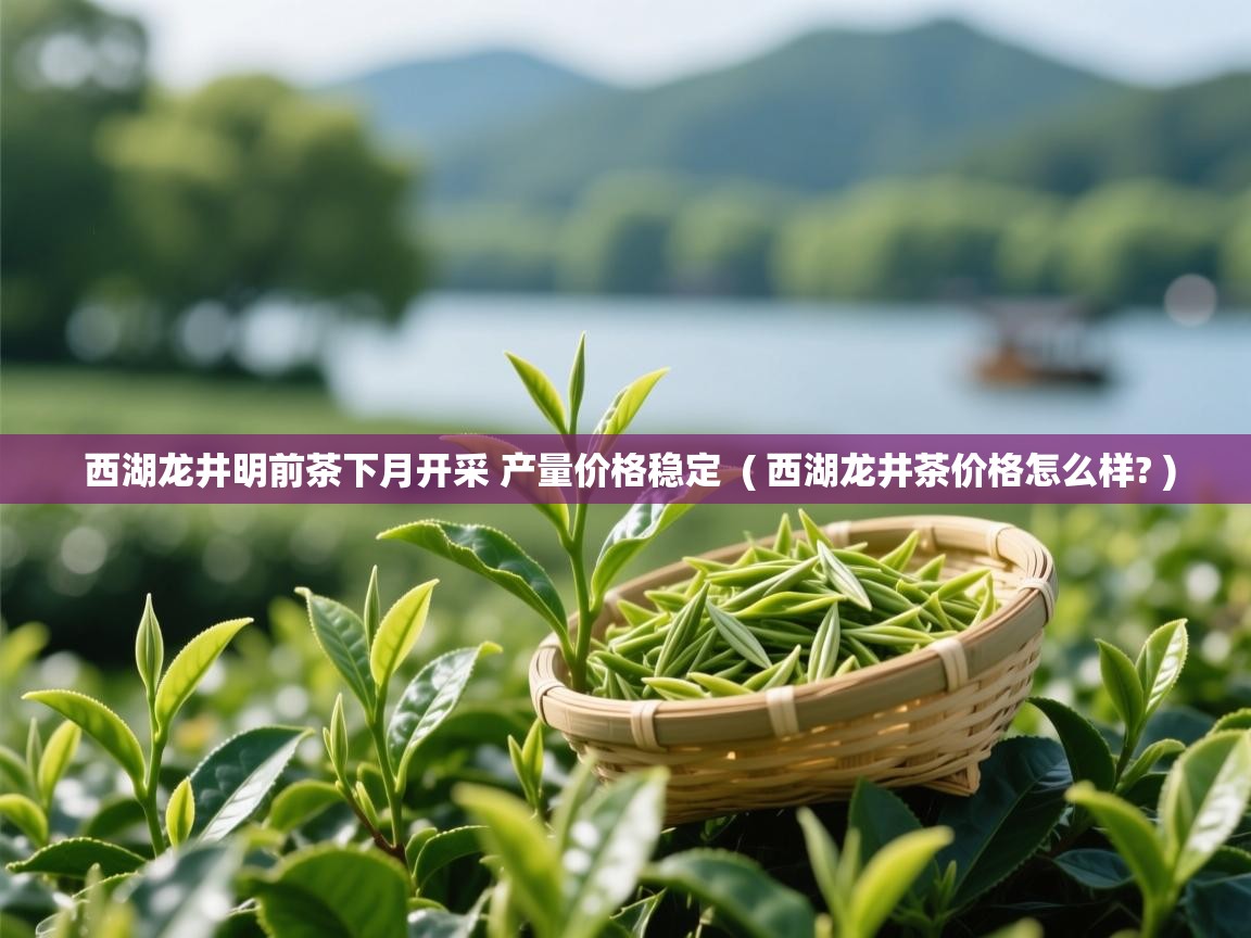  西湖龙井明前茶下月开采 产量价格稳定  ( 西湖龙井茶价格怎么样? )