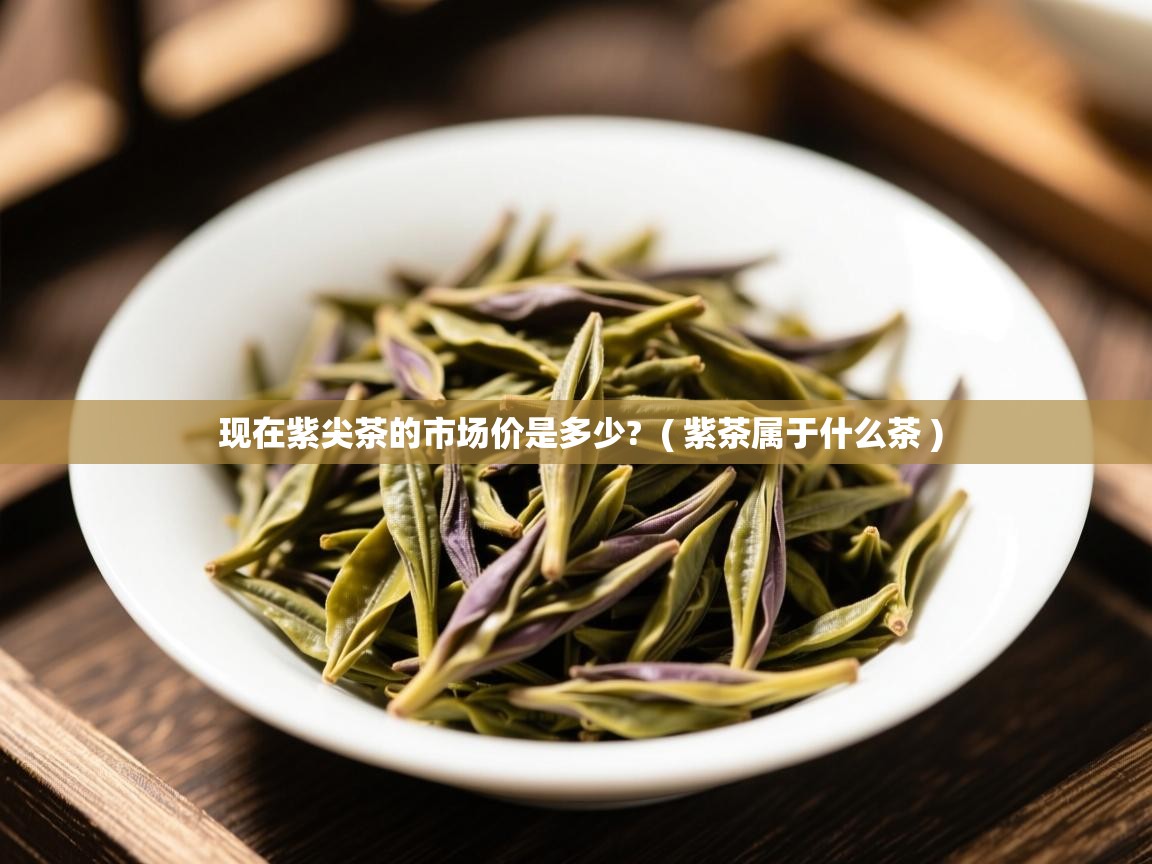  现在紫尖茶的市场价是多少?  ( 紫茶属于什么茶 )