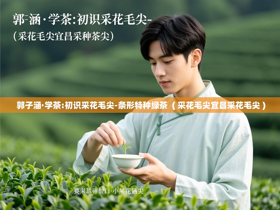  郭子涵·学茶:初识采花毛尖-条形特种绿茶  ( 采花毛尖宜昌采花毛尖 )