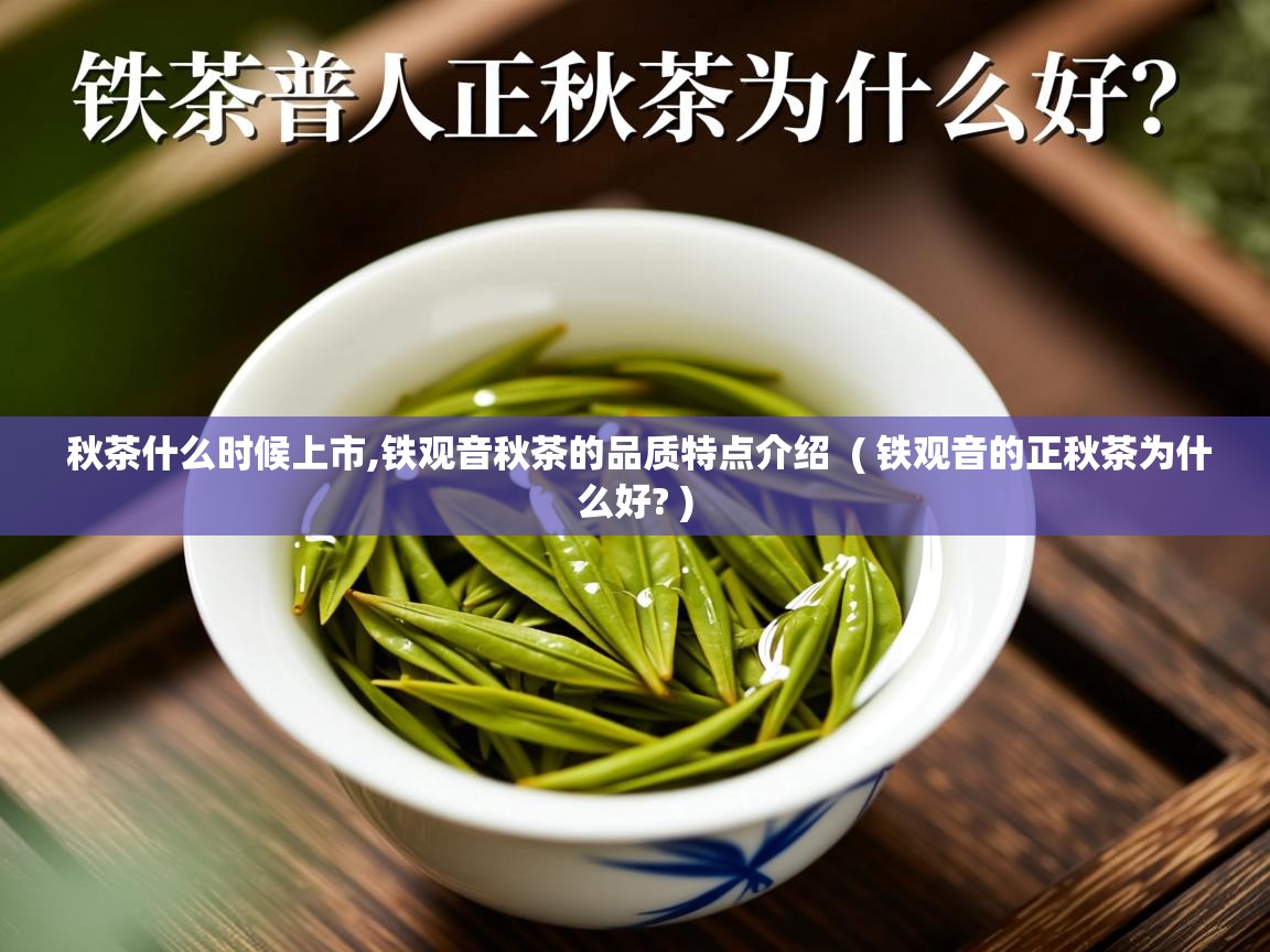  秋茶什么时候上市,铁观音秋茶的品质特点介绍  ( 铁观音的正秋茶为什么好? )