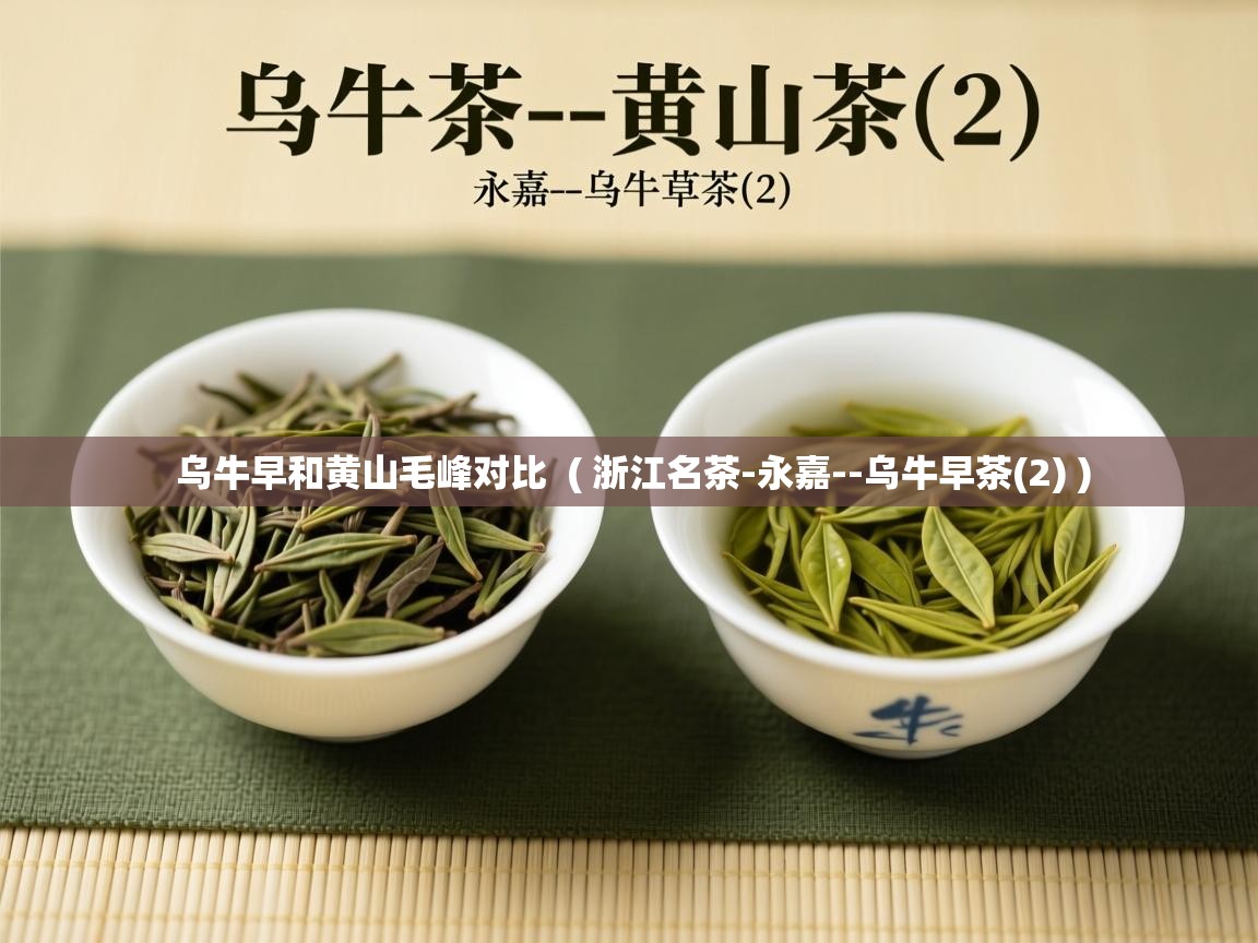  乌牛早和黄山毛峰对比  ( 浙江名茶-永嘉--乌牛早茶(2) )