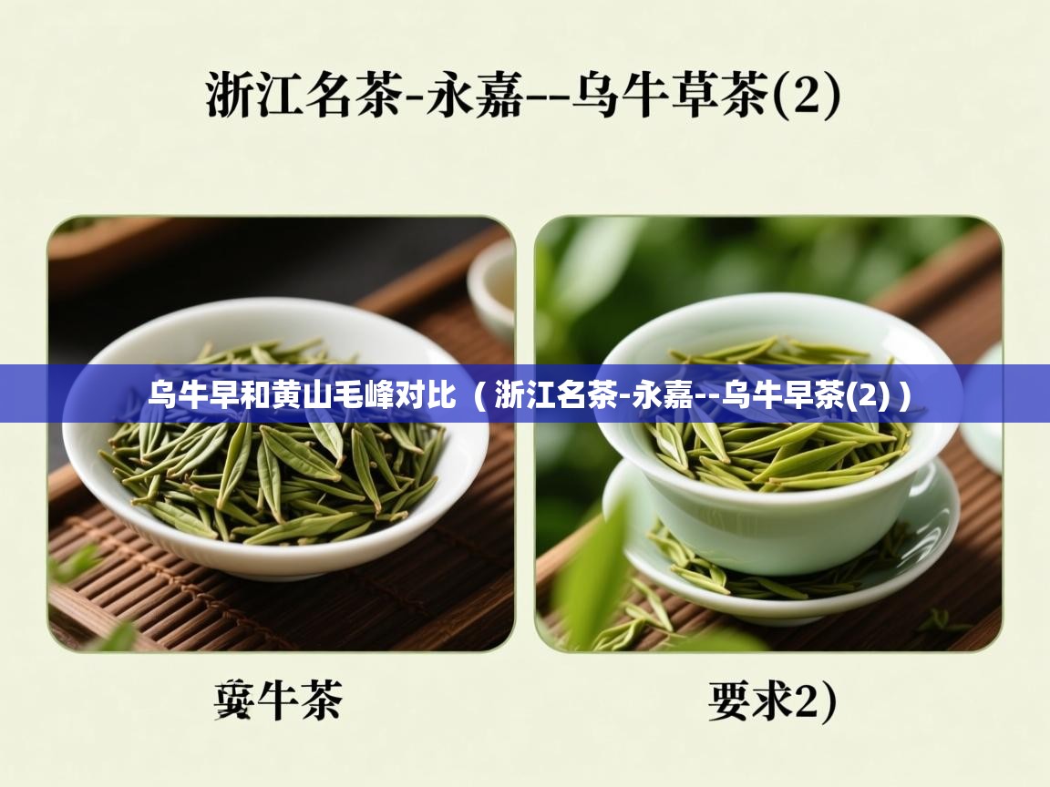  乌牛早和黄山毛峰对比  ( 浙江名茶-永嘉--乌牛早茶(2) )