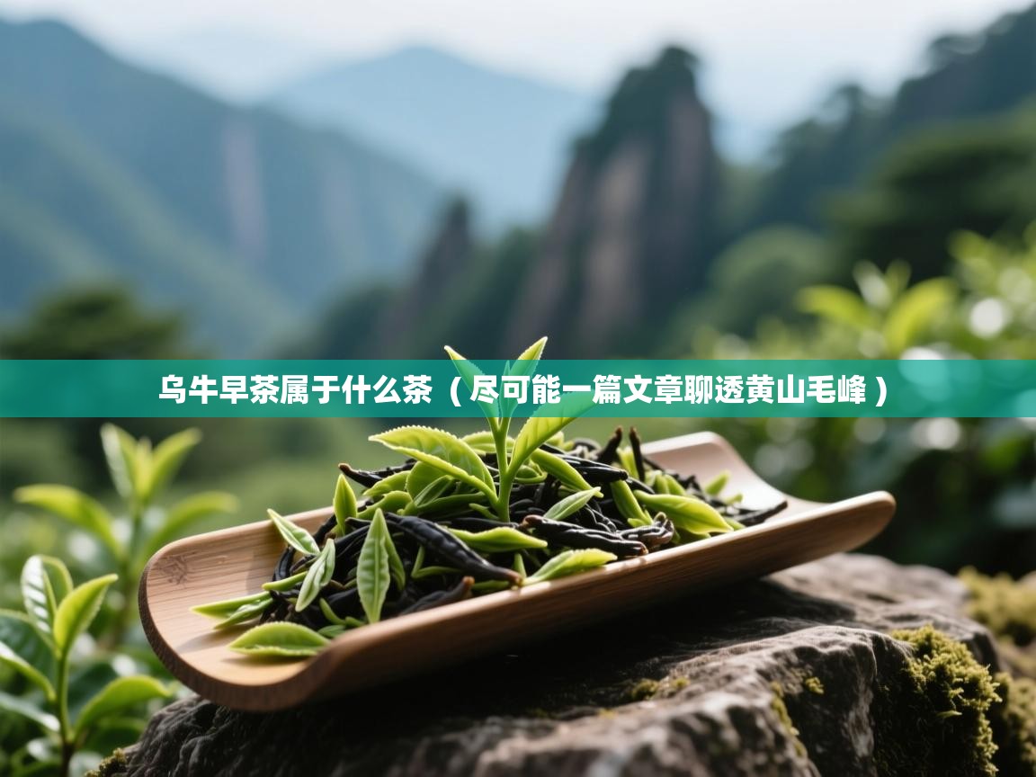  乌牛早茶属于什么茶  ( 尽可能一篇文章聊透黄山毛峰 )