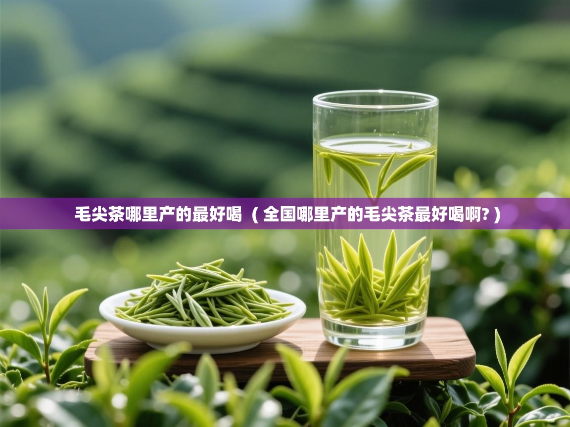  毛尖茶哪里产的最好喝  ( 全国哪里产的毛尖茶最好喝啊? )