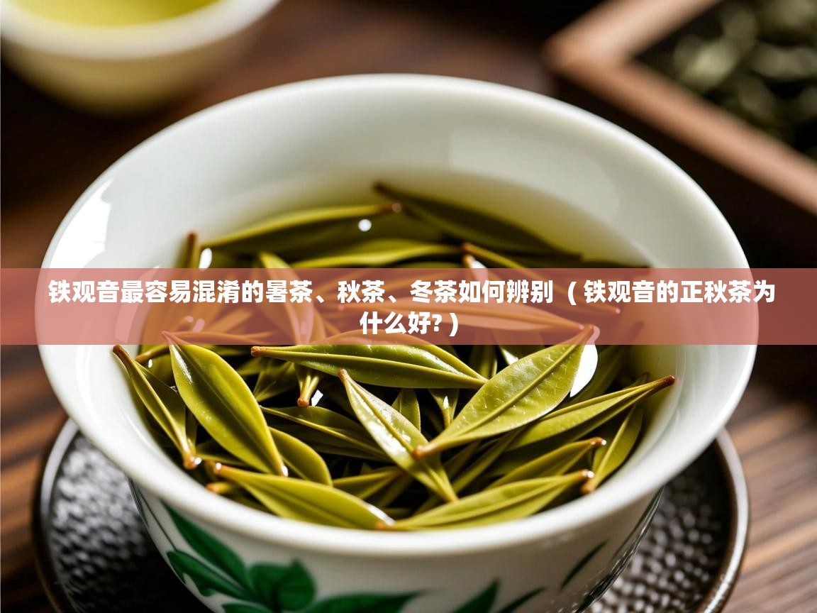  铁观音最容易混淆的暑茶、秋茶、冬茶如何辨别  ( 铁观音的正秋茶为什么好? )