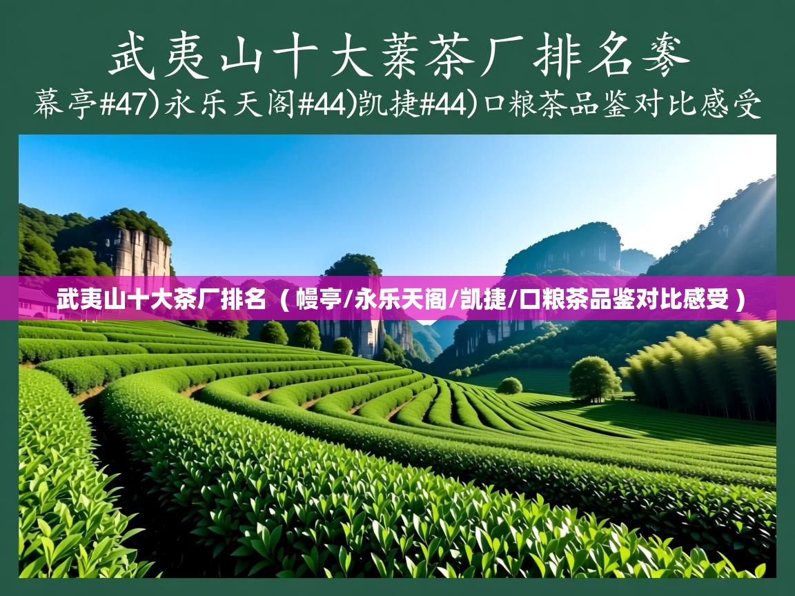  武夷山十大茶厂排名  ( 幔亭/永乐天阁/凯捷/口粮茶品鉴对比感受 )