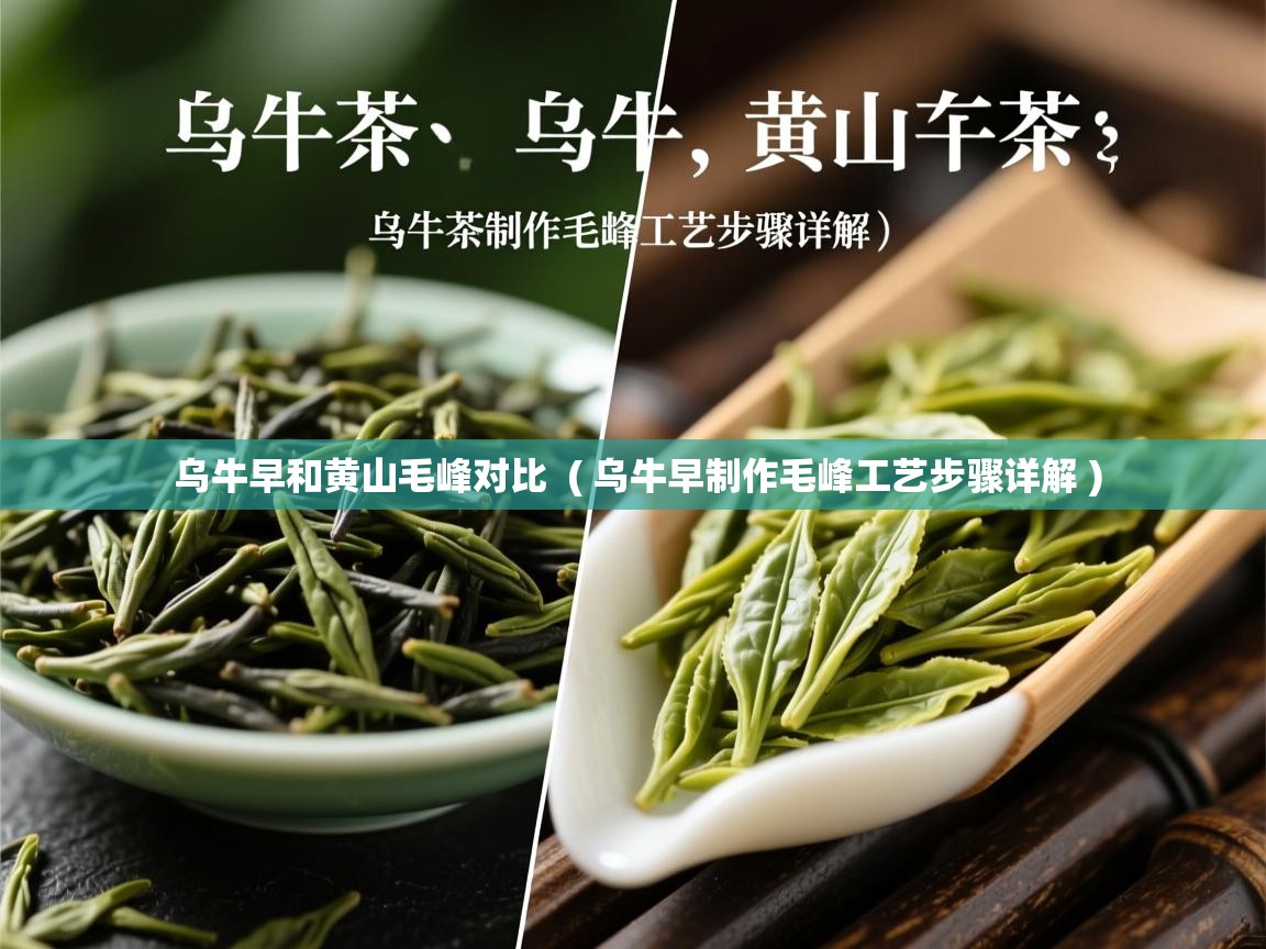  乌牛早和黄山毛峰对比  ( 乌牛早制作毛峰工艺步骤详解 )