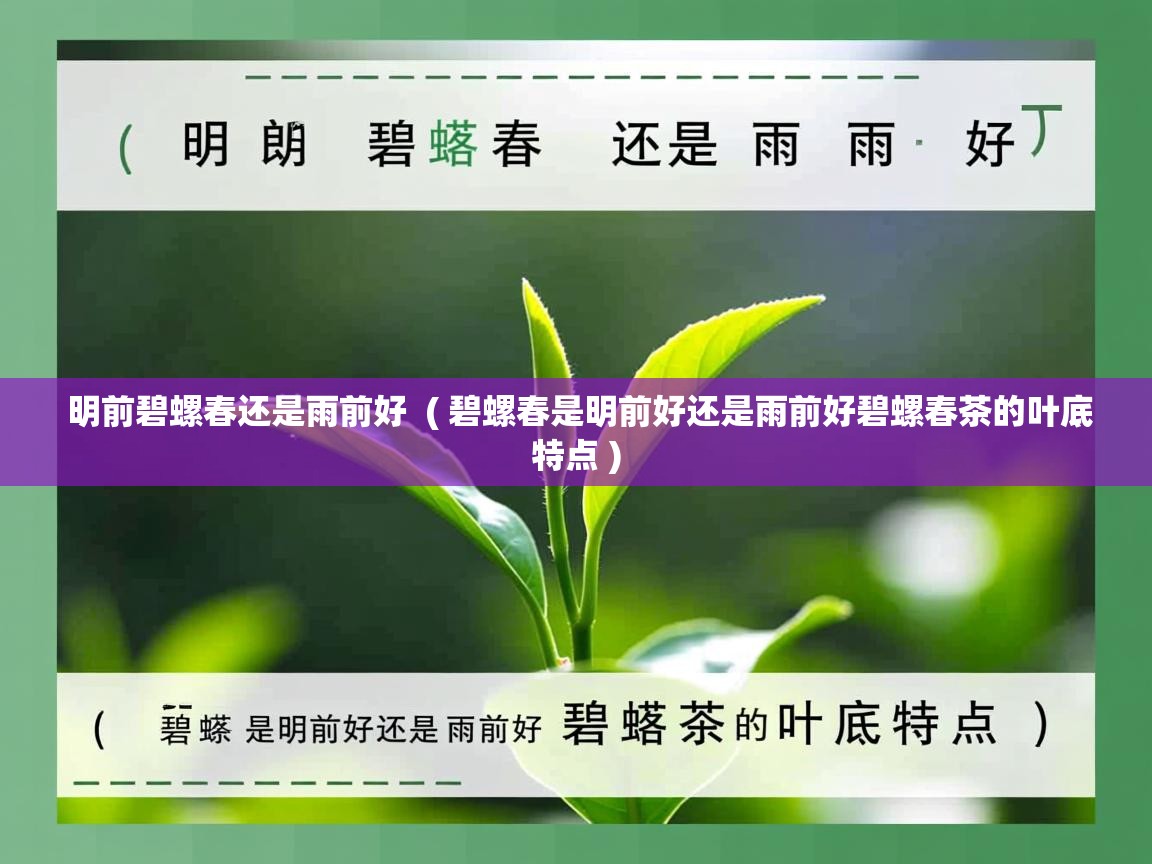  明前碧螺春还是雨前好  ( 碧螺春是明前好还是雨前好碧螺春茶的叶底特点 )