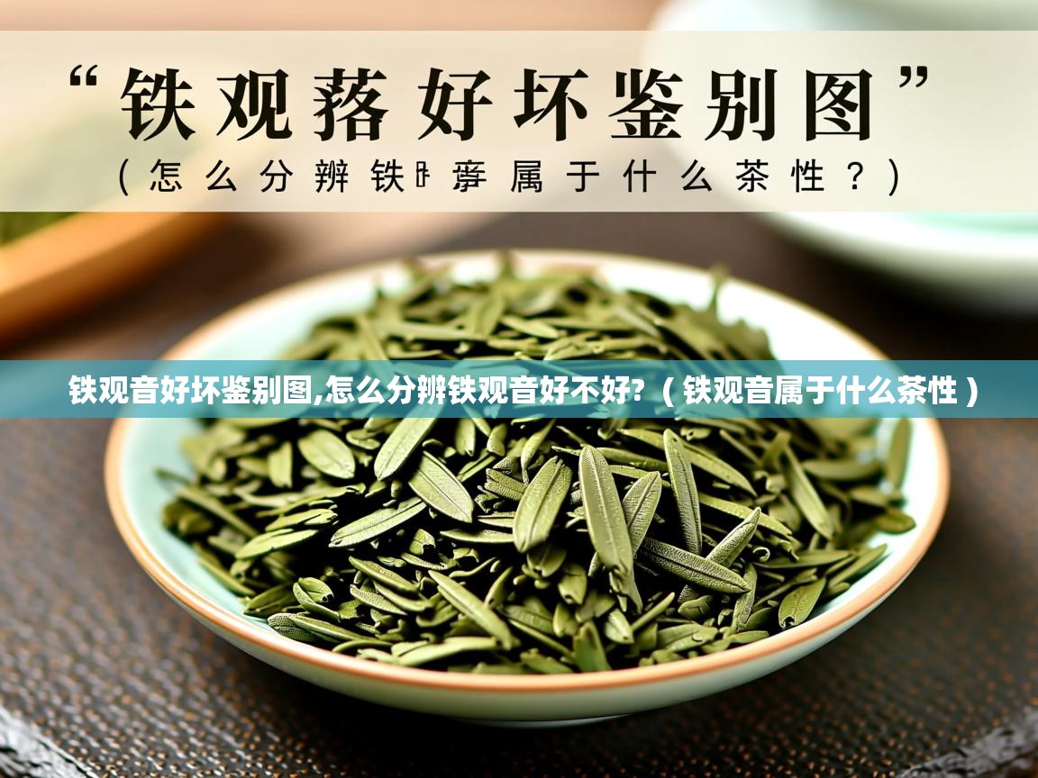  铁观音好坏鉴别图,怎么分辨铁观音好不好?  ( 铁观音属于什么茶性 )