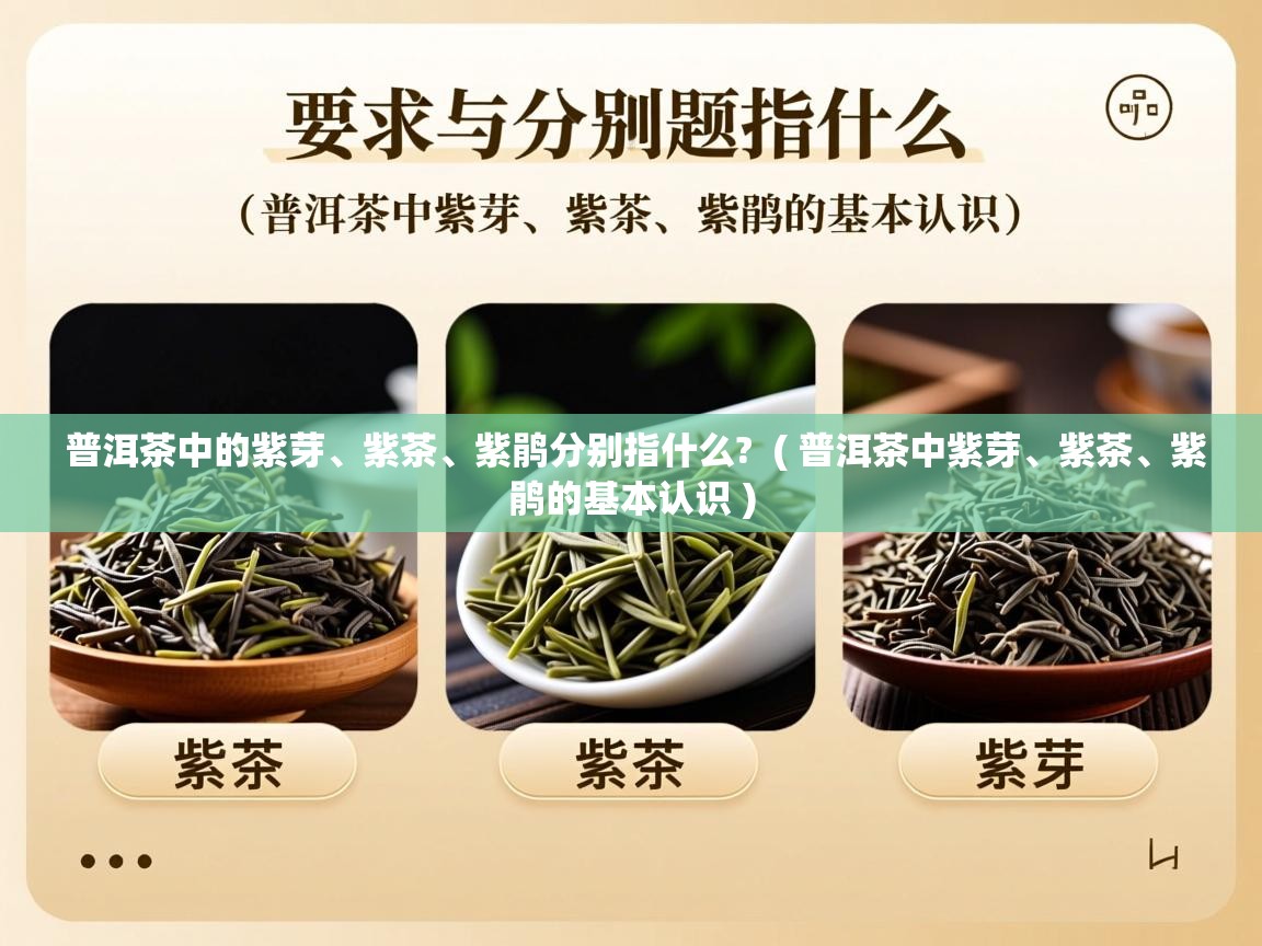  普洱茶中的紫芽、紫茶、紫鹃分别指什么?  ( 普洱茶中紫芽、紫茶、紫鹃的基本认识 )