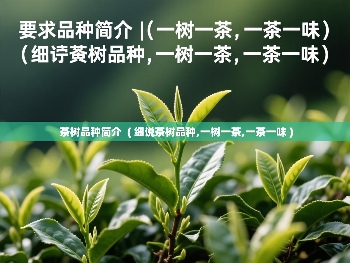  茶树品种简介  ( 细说茶树品种,一树一茶,一茶一味 )