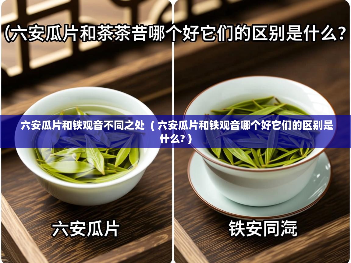  六安瓜片和铁观音不同之处  ( 六安瓜片和铁观音哪个好它们的区别是什么? )
