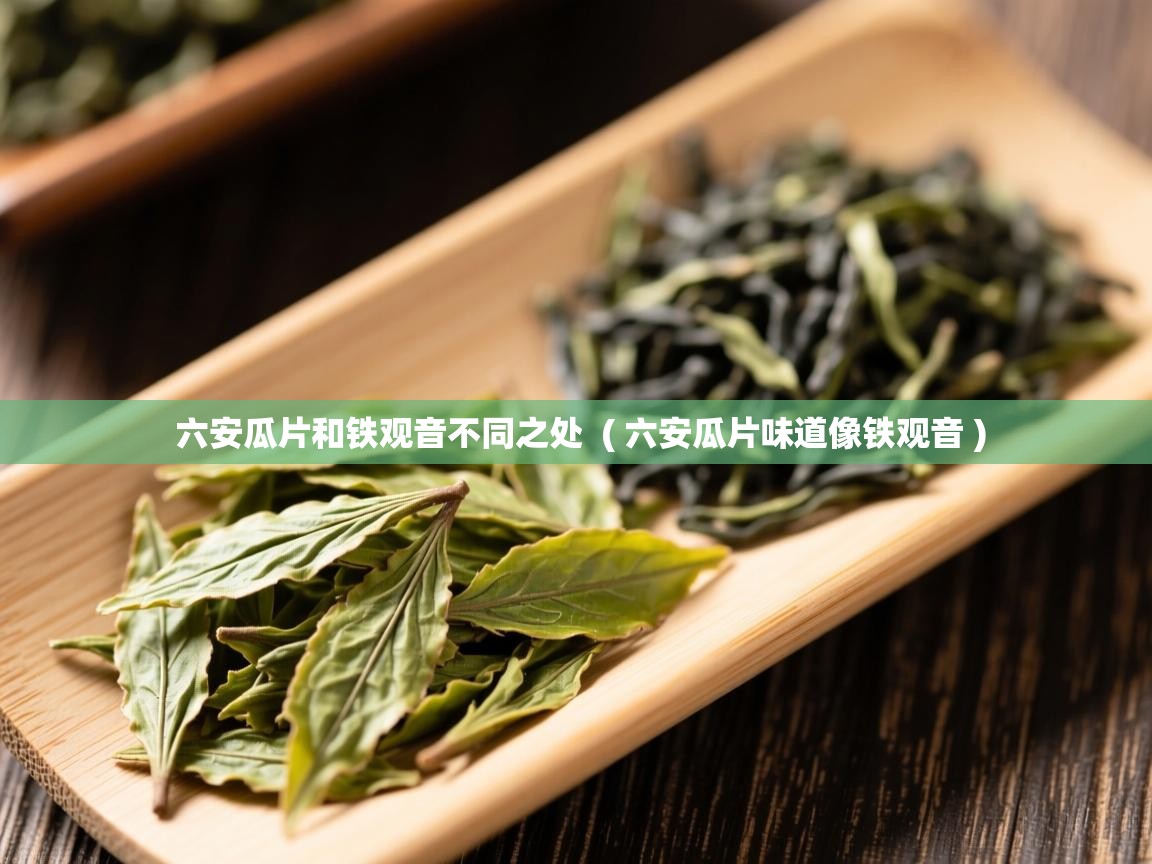  六安瓜片和铁观音不同之处  ( 六安瓜片味道像铁观音 )
